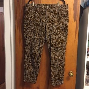 Old Navy Pixie Pant - Leopard Pants